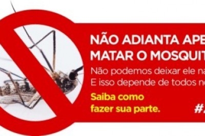 Aedes estão nas residências. Saiba como mantê-las livre do mosquito