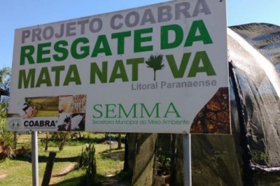 Paranaguá no combate ao Aedes Aegypti: Plantas estão sendo cultivadas pela Prefeitura para doação à população