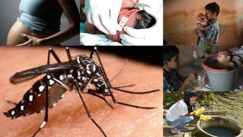 Paraná: Secretaria da Saúde divulga novo boletim da dengue, zika e chikungunya