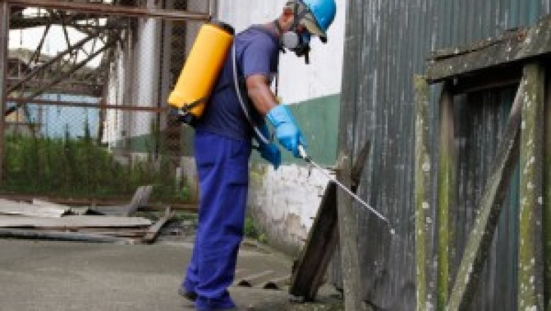 Portos do Paraná antecipam campanha contra a dengue