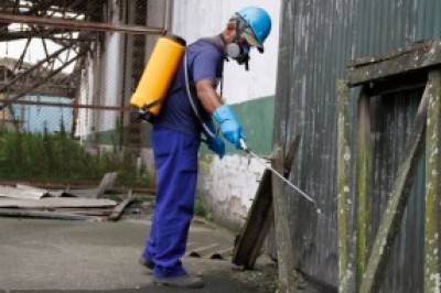 Portos do Paraná antecipam campanha contra a dengue