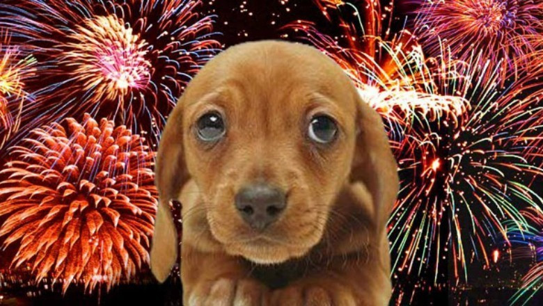 Manuseio de fogos de artifício exige cuidados e atenção redobrada 