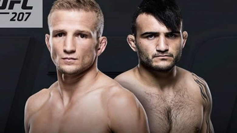 30 de Dezembro será o dia D