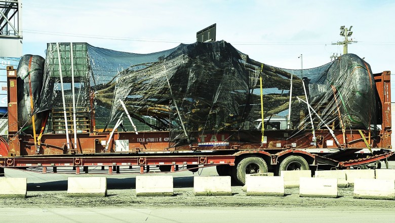 Porto de Paranaguá realiza primeira exportação de jabuticabeiras plantadas