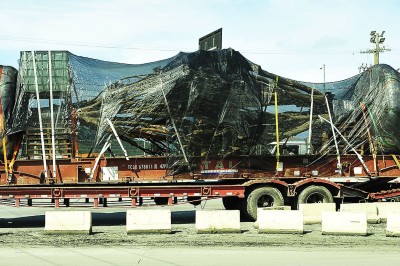 Porto de Paranaguá realiza primeira exportação de jabuticabeiras plantadas