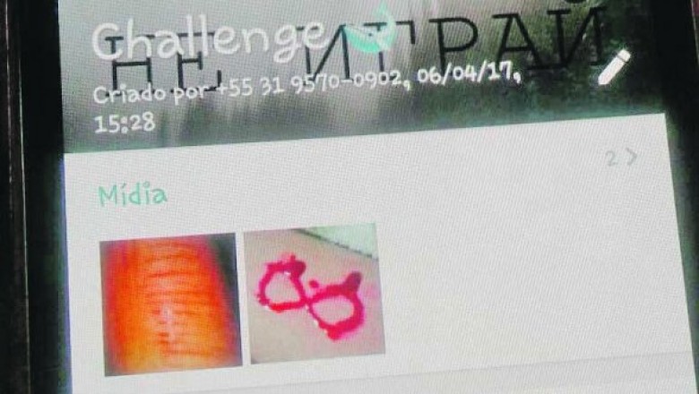 Mãe catarinense consegue salvar do suicídio filho que participava do desafio da Baleia Azul