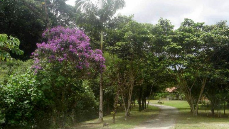 Consulta Pública discutirá ampliação e recategorização da Unidade de Conservação da Floresta Estadual do Palmito