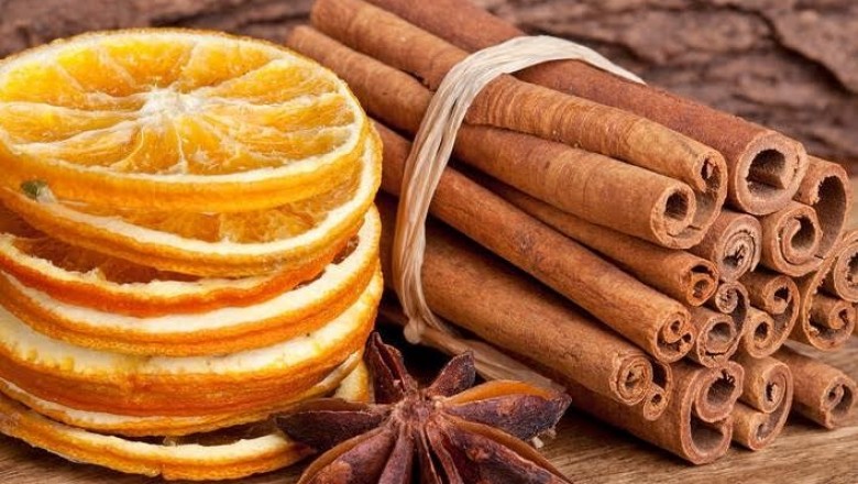 A alimentação durante o outono e inverno deve ser equilibrada para manter a saúde e o peso em dia