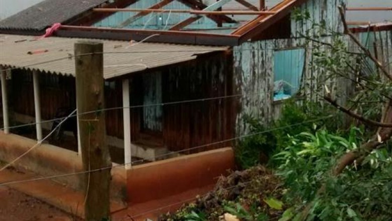 Vento forte derruba várias árvores em Rosário do Ivaí