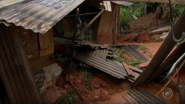 Cachorra morre soterrada após 'alertar' e salvar família de deslizamento de casa
