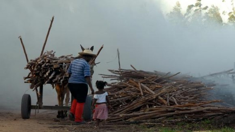 Brasil registra aumento de trabalho infantil entre crianças de 5 a 9 anos