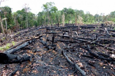 Noruega anuncia corte de quase R$ 200 milhões ao Fundo da Amazônia