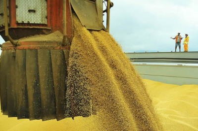 Movimentação de grãos no Corredor de Exportação aumenta 22% em junho