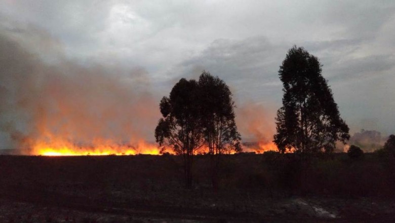 Incêndio destrói 48 hectares no Parque Estadual da Vila Velha