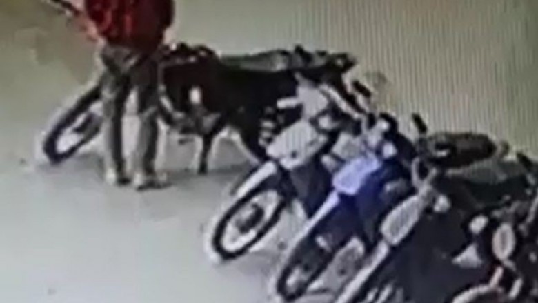 (Vídeo) Furto de moto é flagrado por câmeras de segurança, em Prudentópolis 