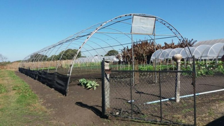 Trabalhadores agr&iacute;colas contar&atilde;o com oportunidade de curso de Olericultura em Paranagu&aacute;