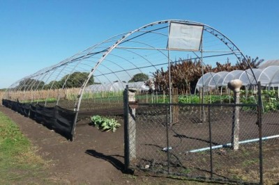 Trabalhadores agrícolas contarão com oportunidade de curso de Olericultura em Paranaguá