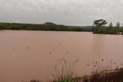 Temporais afetam 21 municípios paranaenses