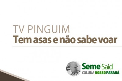 TV PINGUIM! Tem asas e não sabe voar