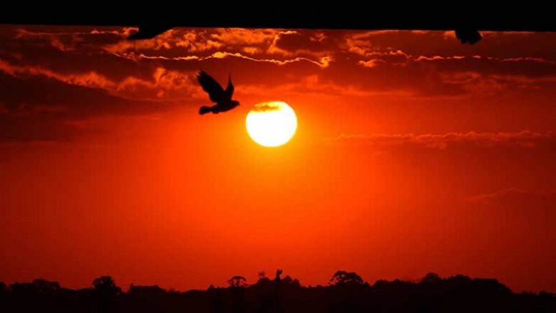 Verão será influenciado pelo fenômeno La Niña