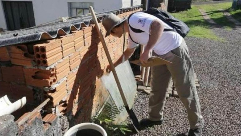 Saúde confirma primeiro caso de dengue em 2018, em Cascavel
