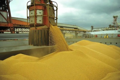 Com alta de 20%, Paraná é o quarto maior exportador do País