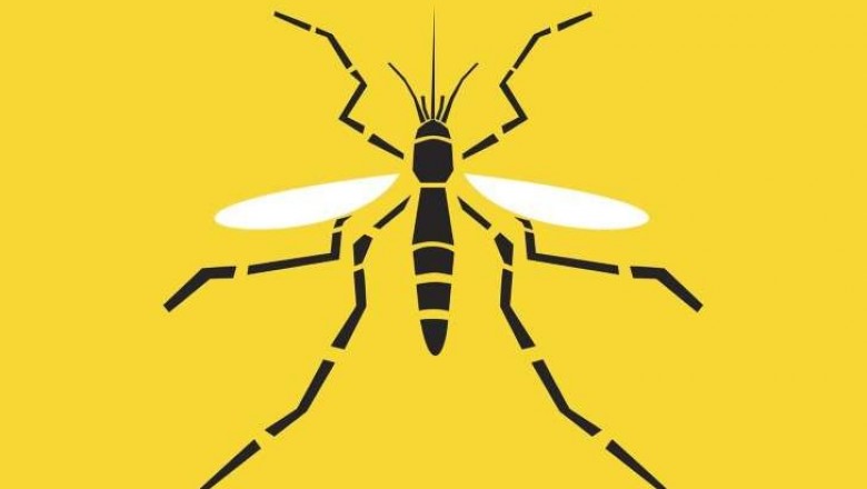 Afinal, como a febre amarela é transmitida?