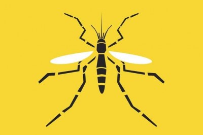 Afinal, como a febre amarela é transmitida?