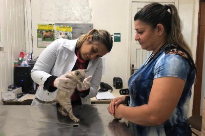 Atendimento veterinário está com novo horário de funcionamento