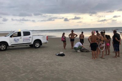 Tartaruga em perigo de extinção é encontrada morta no Litoral do Paraná