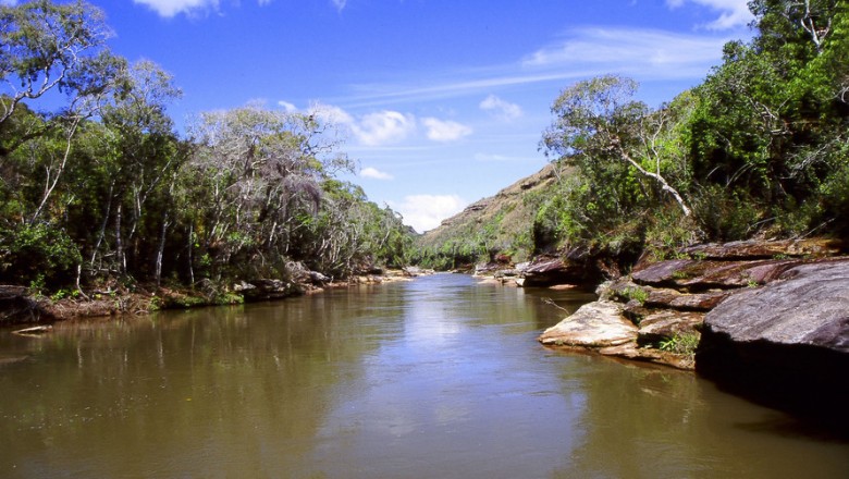 Paraná promove ações pelo Dia Mundial da Água
