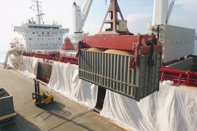 Porto de Antonina exporta farelo de soja não transgênica