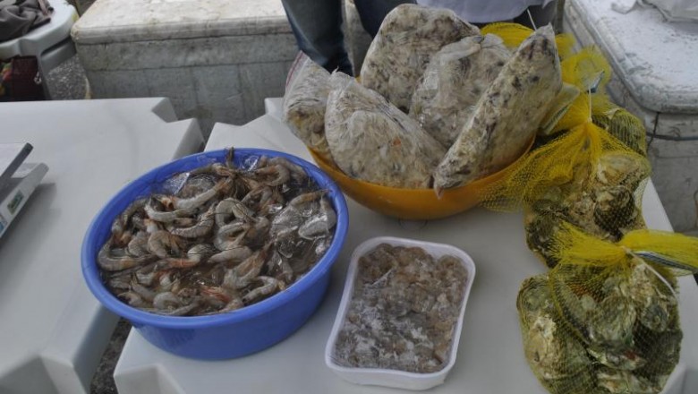PARANAGUÁ: 22.ª Feira de Peixes de Cultivo acontece nos dias 18 e 19 de abril