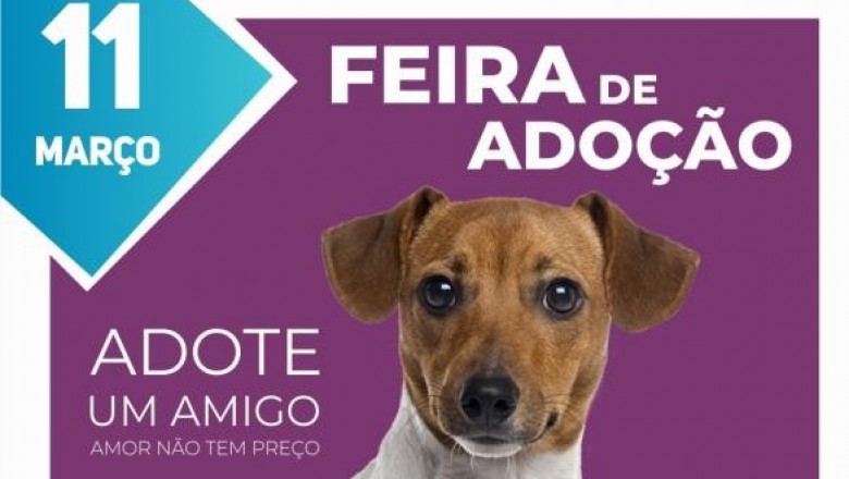 Prefeitura de Paranaguá e ONG Amigos Protetores realizam Feira de Adoção