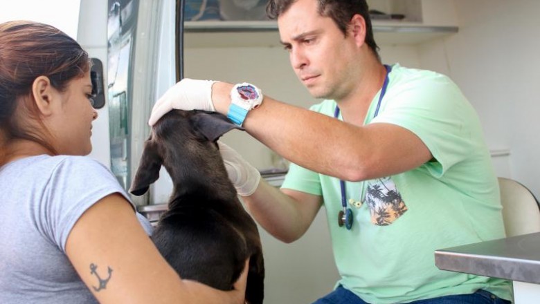 População aprova atendimento veterinário móvel promovido pela Prefeitura de Paranaguá