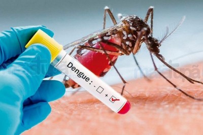 Boletim confirma mais três mortes por dengue em todo o Paraná