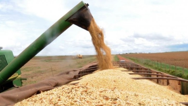 Safra 2018/2019 deve chegar a 238,9 milhões de toneladas de grãos