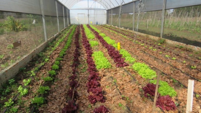 Pontal do Paraná estreita relações com Escola Agrícola em busca de mais parcerias