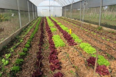 Pontal do Paraná estreita relações com Escola Agrícola em busca de mais parcerias