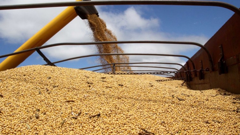 Quebra da safra afeta o PIB do Paraná no primeiro trimestre