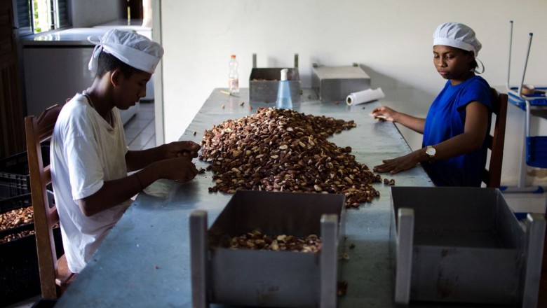 Dia do Cooperativismo é celebrado em várias cidades brasileiras