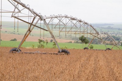 Safra recorde de grãos deve chegar a 240,7 milhões de toneladas