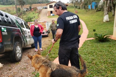 PCPR cumpre mandados contra rede de petshops envolvida em golpes e maus-tratos na Capital