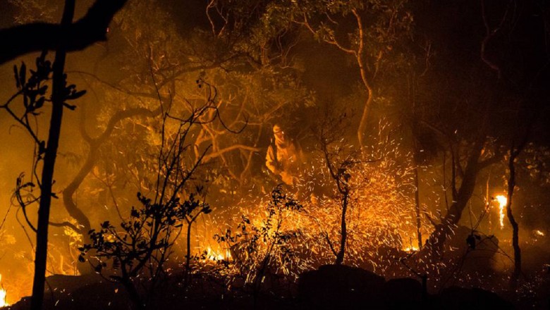 Incêndio na Chapada dos Veadeiros ameaça território quilombola