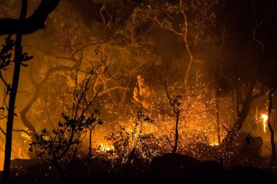 Incêndio na Chapada dos Veadeiros ameaça território quilombola