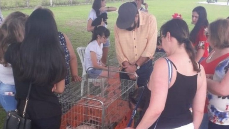 Secretaria de Meio Ambiente e ONG Amigos Protetores realizam feira de adoção de cães e gatos