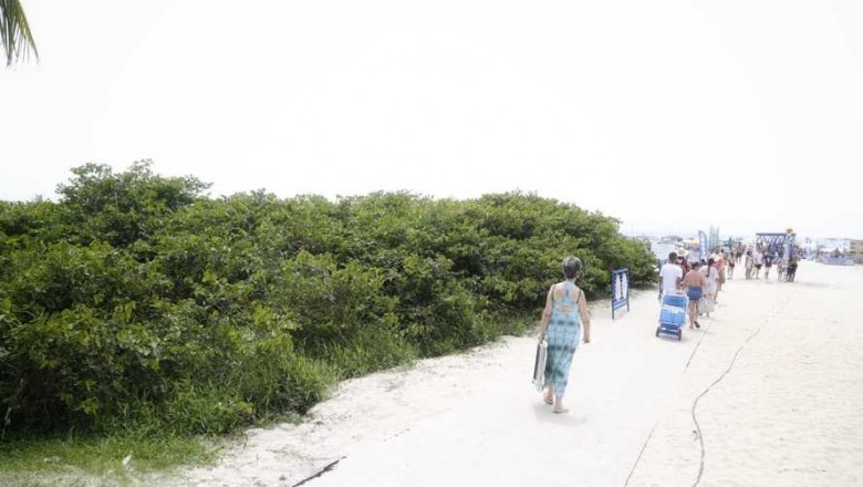 Manejo da restinga no Litoral atende demanda das prefeituras