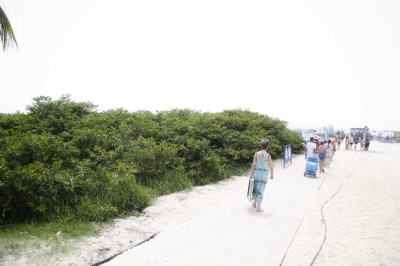 Manejo da restinga no Litoral atende demanda das prefeituras