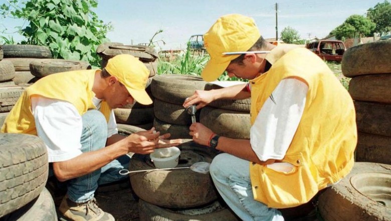 331 munic&iacute;pios do Paran&aacute; registram infesta&ccedil;&atilde;o predial da dengue