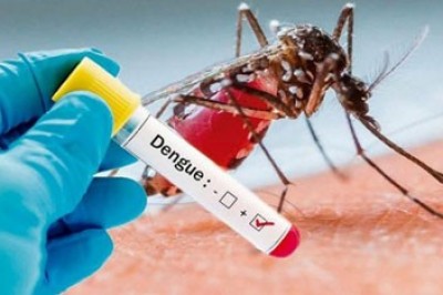 Em menos de um ano Paraná soma 212.074 casos de dengue